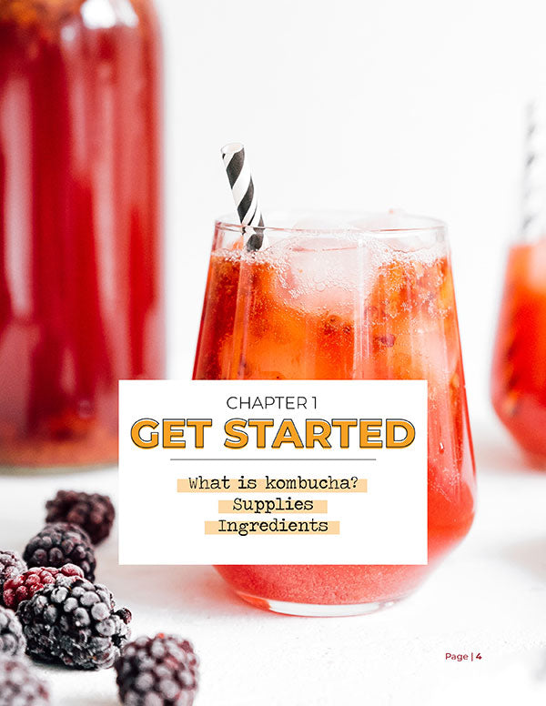 The Comprehensive Guide To Kickass Kombucha (Digital Book)