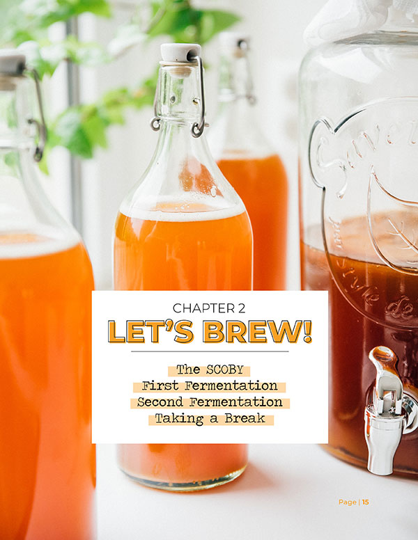 The Comprehensive Guide To Kickass Kombucha (Digital Book)