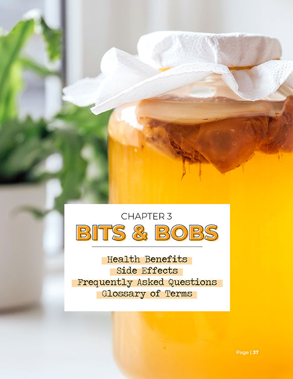 The Comprehensive Guide To Kickass Kombucha (Digital Book)