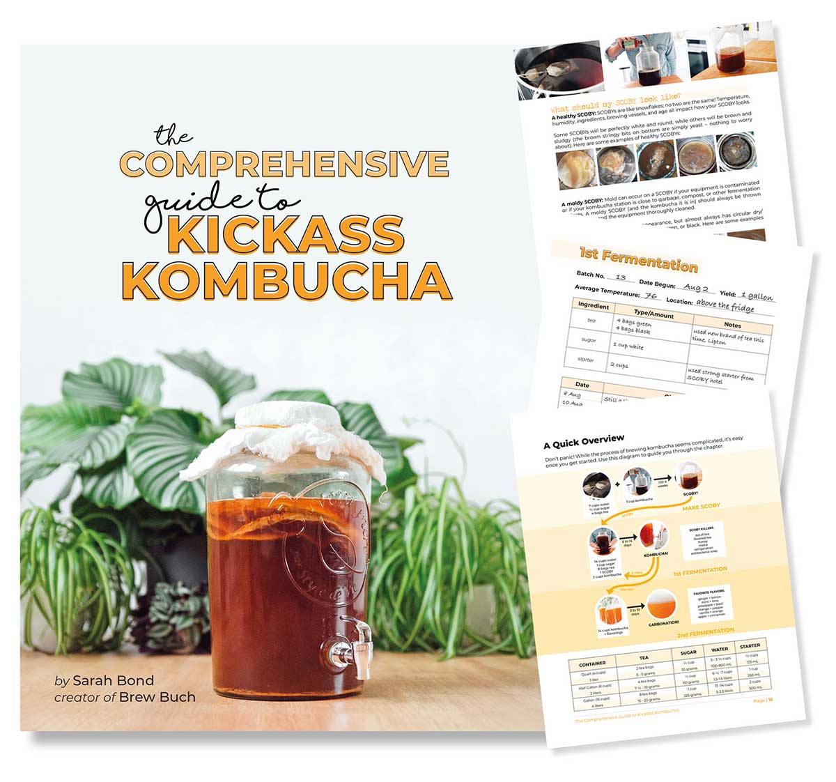 The Comprehensive Guide To Kickass Kombucha (Digital Book)