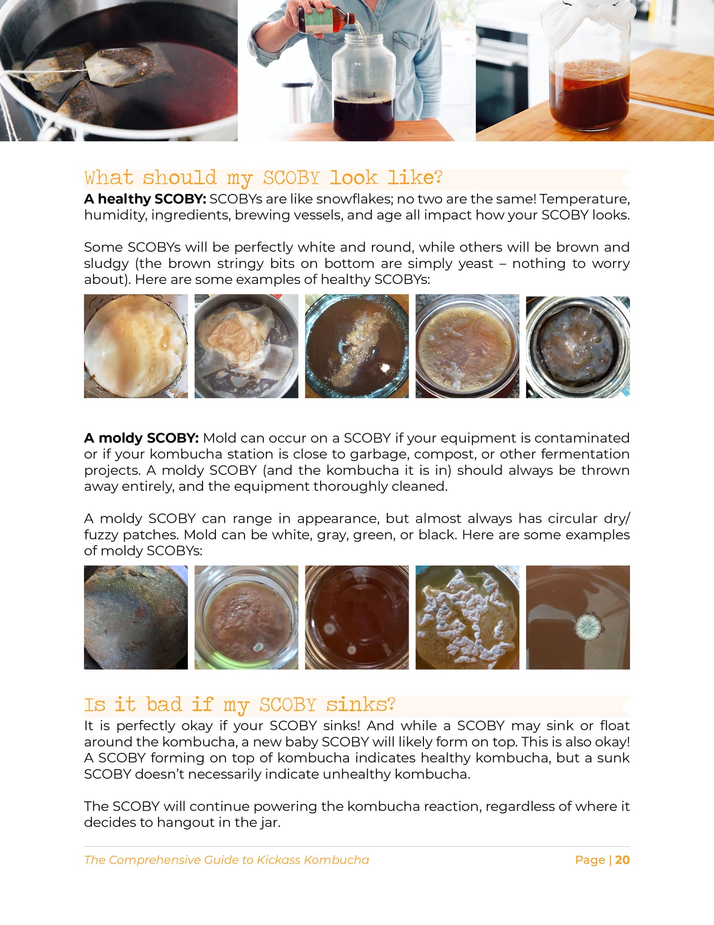 The Comprehensive Guide To Kickass Kombucha (Digital Book)