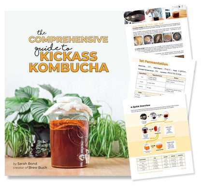 The Comprehensive Guide To Kickass Kombucha